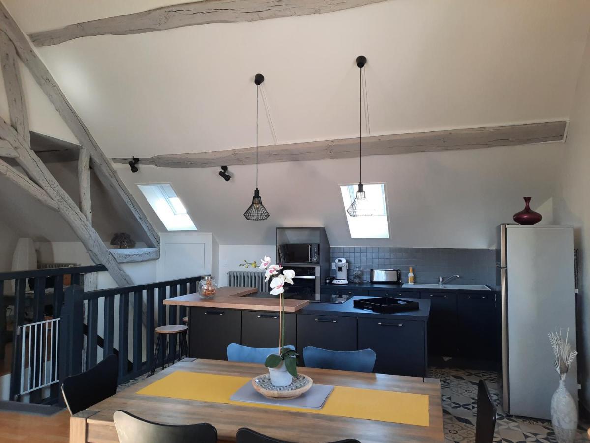 Grand Appartement Tout Confort Proche De Chambord Saint-Claude-de-Diray Εξωτερικό φωτογραφία