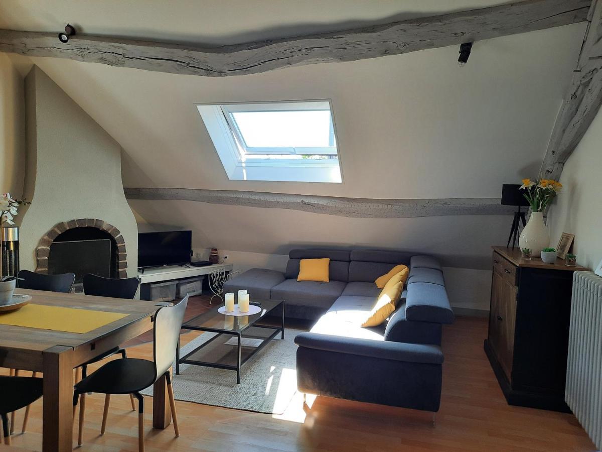 Grand Appartement Tout Confort Proche De Chambord Saint-Claude-de-Diray Εξωτερικό φωτογραφία