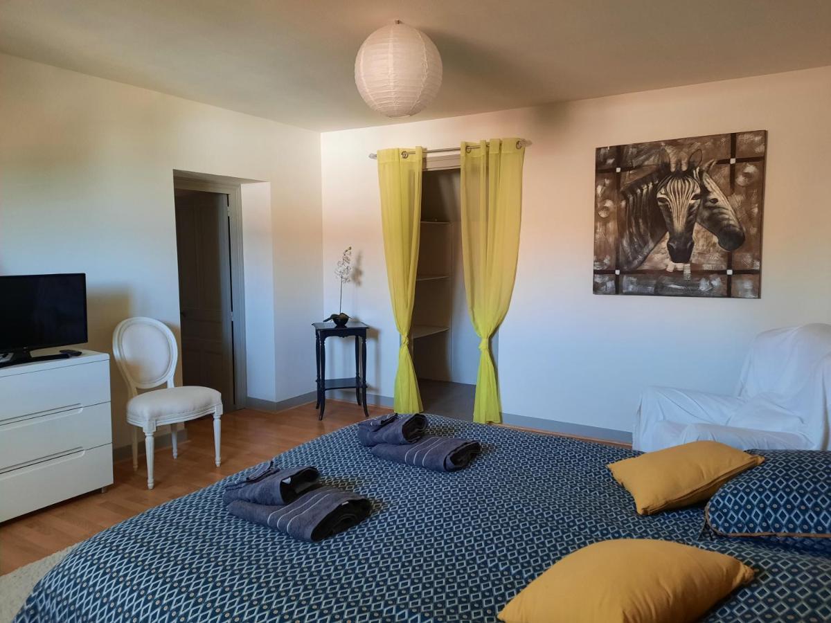 Grand Appartement Tout Confort Proche De Chambord Saint-Claude-de-Diray Εξωτερικό φωτογραφία