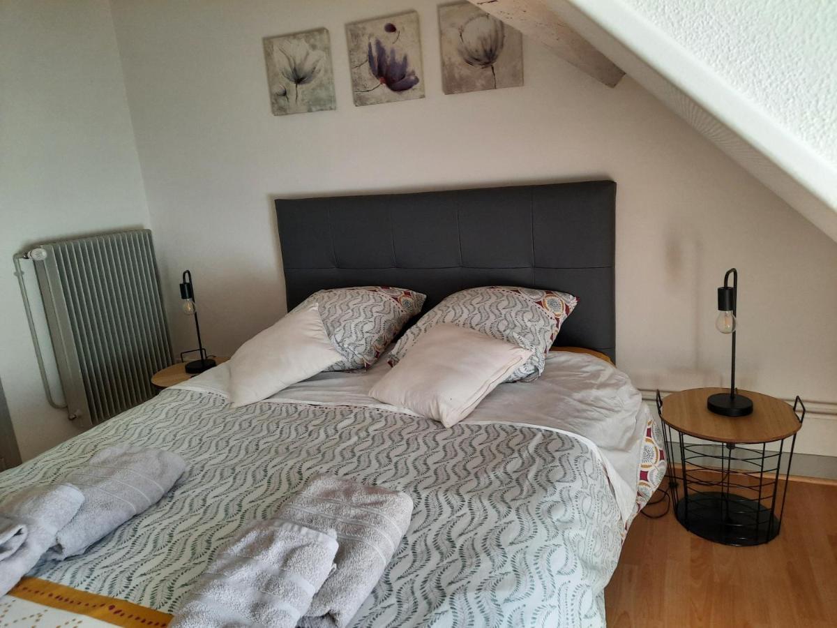 Grand Appartement Tout Confort Proche De Chambord Saint-Claude-de-Diray Εξωτερικό φωτογραφία
